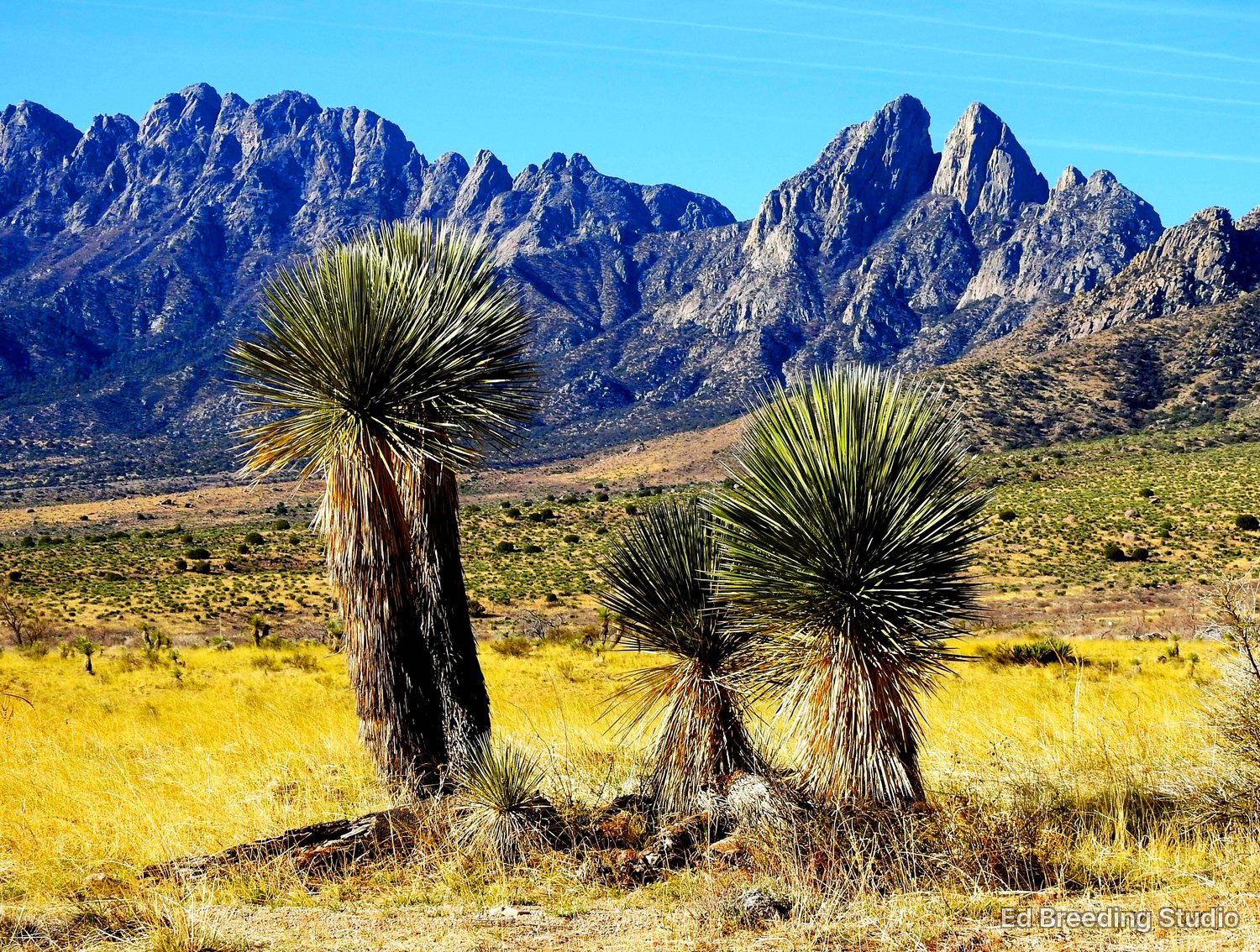 The Organ Mountains above Las Cruces &mdash; photograph by Ed Breeding